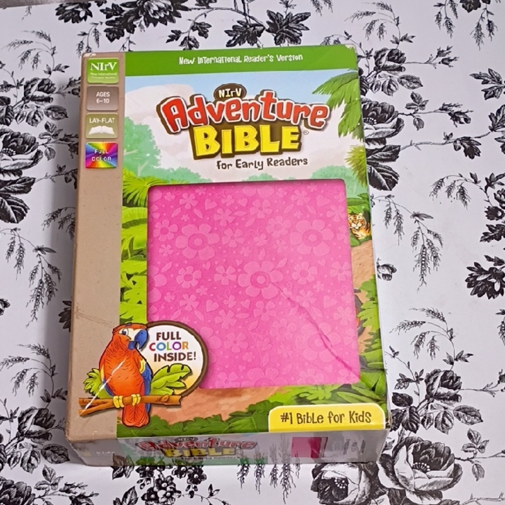NiRV Adventure Bible for Early Readers‎